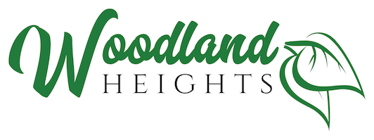 logo of development